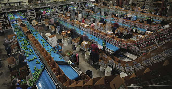 Baloian Farms recognized for innovation, charitable work