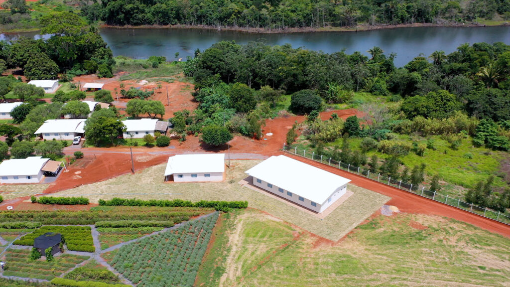 New bee species discovered by scientist on Bayer partner farm in Brazil