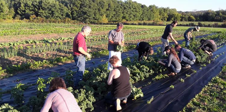 Preparing the next generation of beginning and aspiring farmers