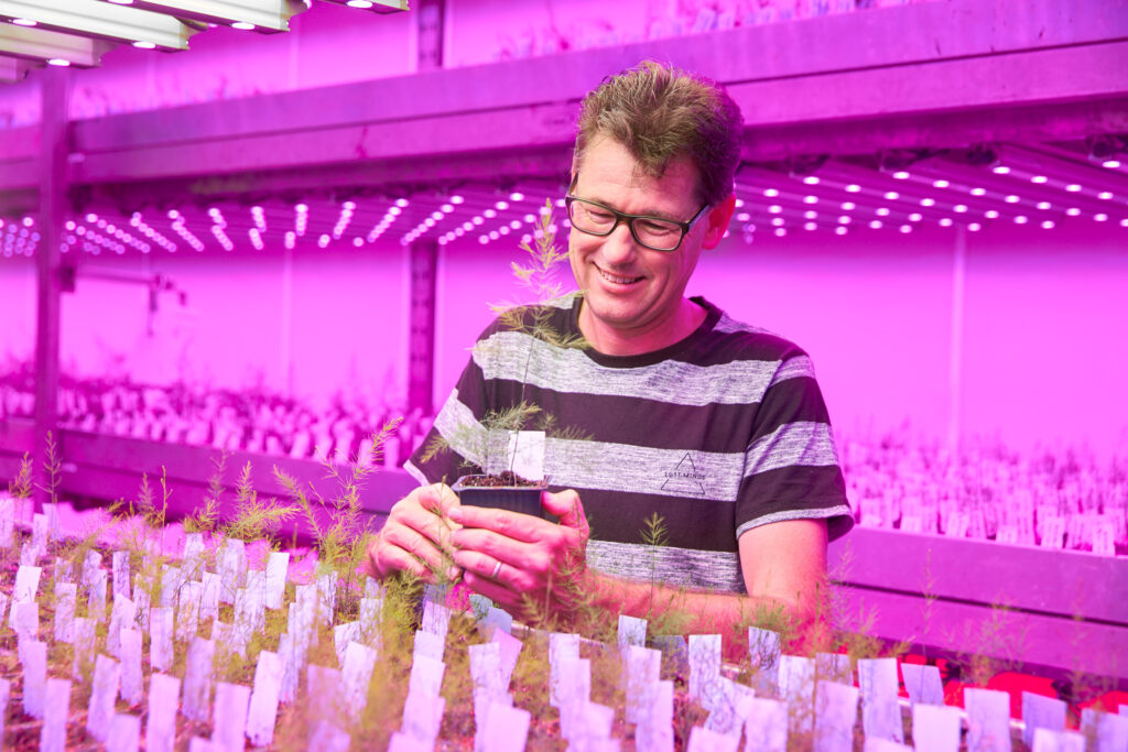 Bejo Zaden, Signify utilize Philips Green Power LED lighting