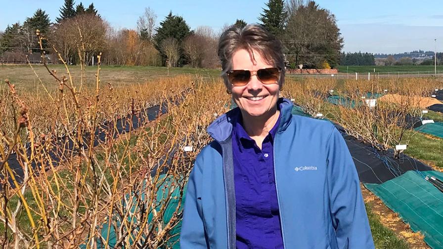 Berry researcher Bernadine Strik dies