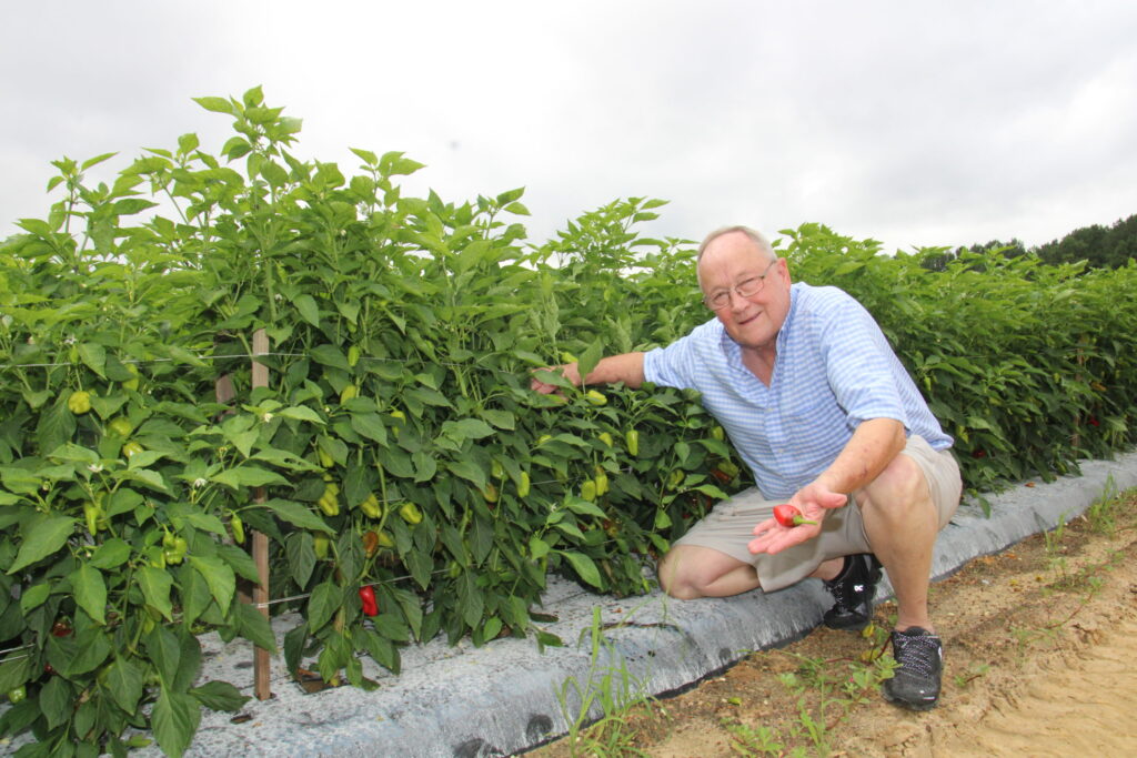 Lewis Taylor Farms counters rising labor costs