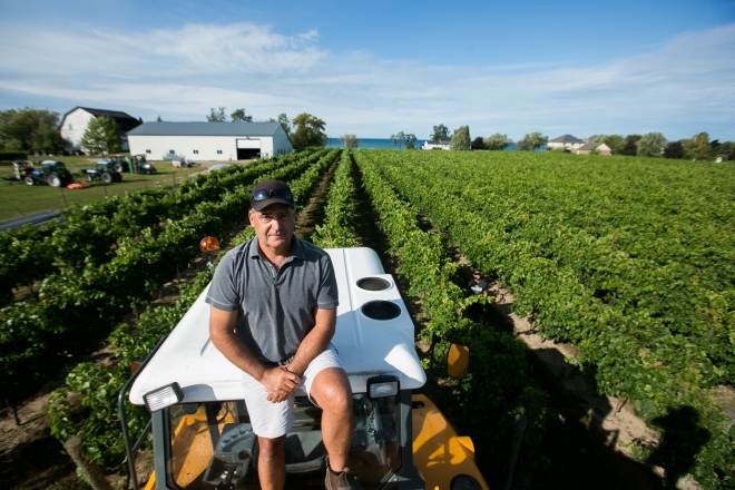 Hiring local workers isn’t easy, Ontario grower says