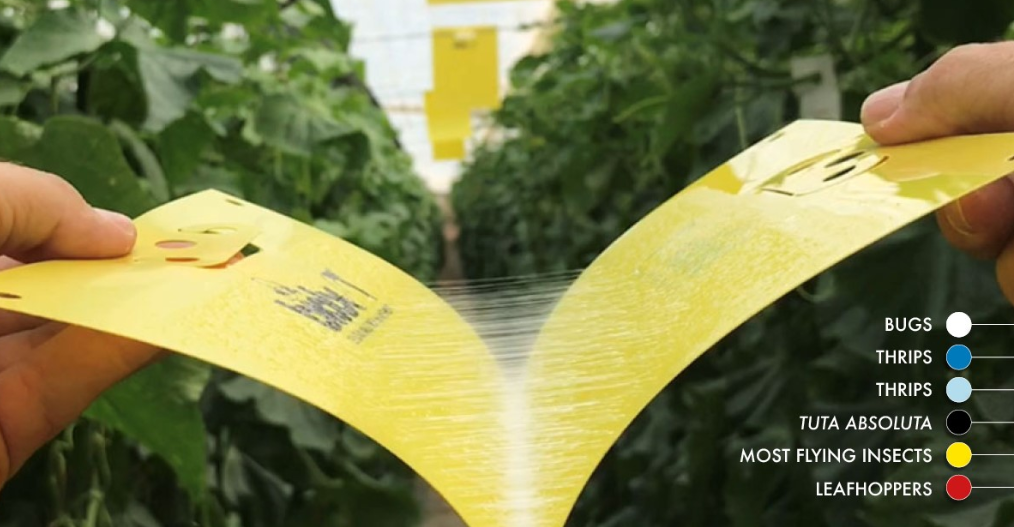 Biobest plans to acquire biopesticides manufacturer