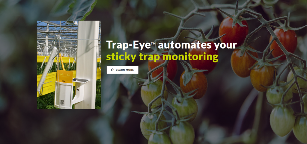 Biobest pest trap recognized with GreenTech award