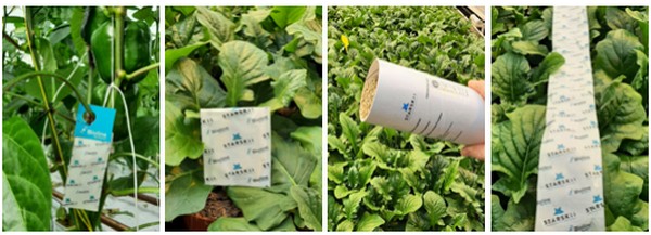 Bioline Agrosciences improves biocontrol with STARSKii, CART technology