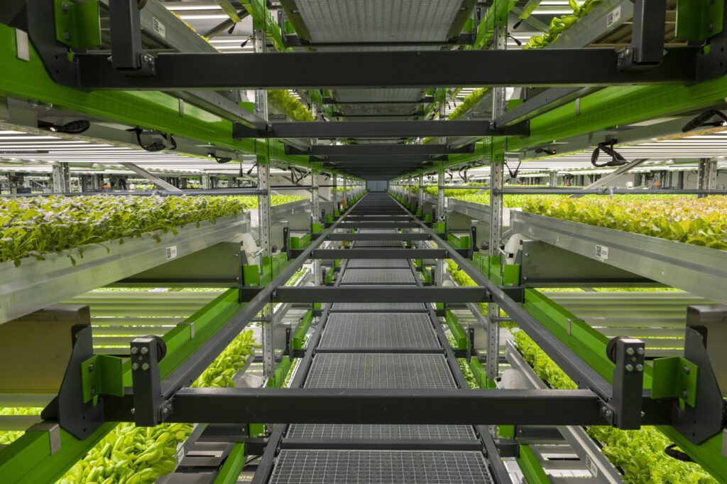 Bowery Farming, Unfold partner on vertical farm seed development