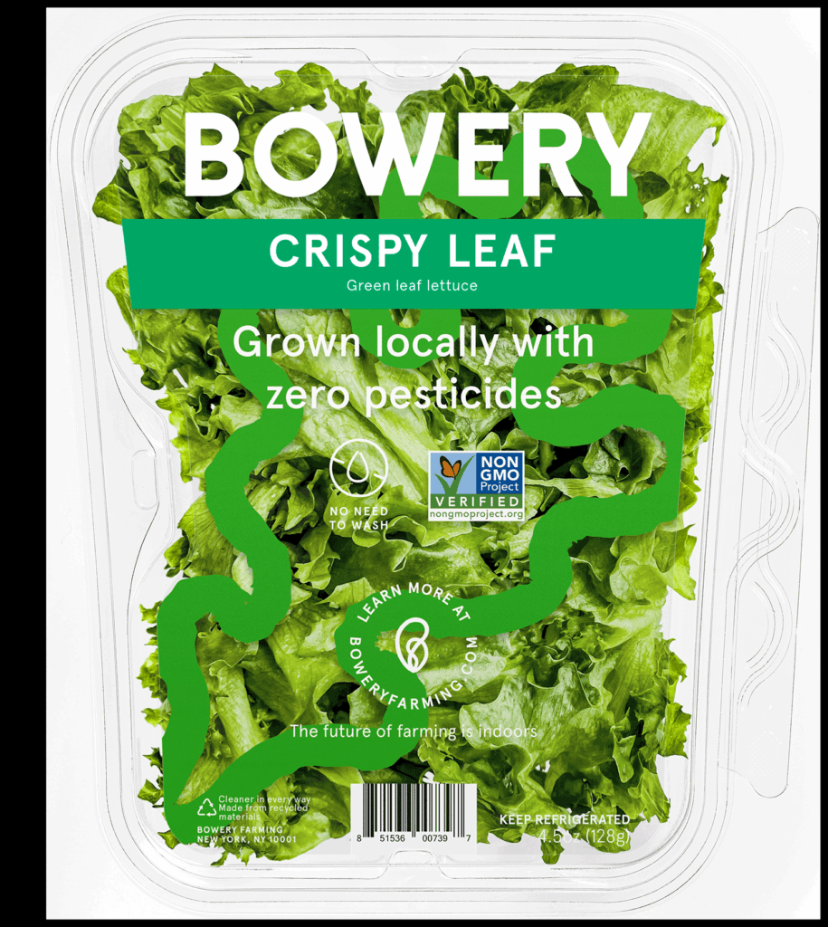 Bowery Farming introduces Crispy Leaf lettuce