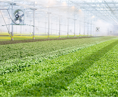 Leaders selected for CEA Food Safety Coalition