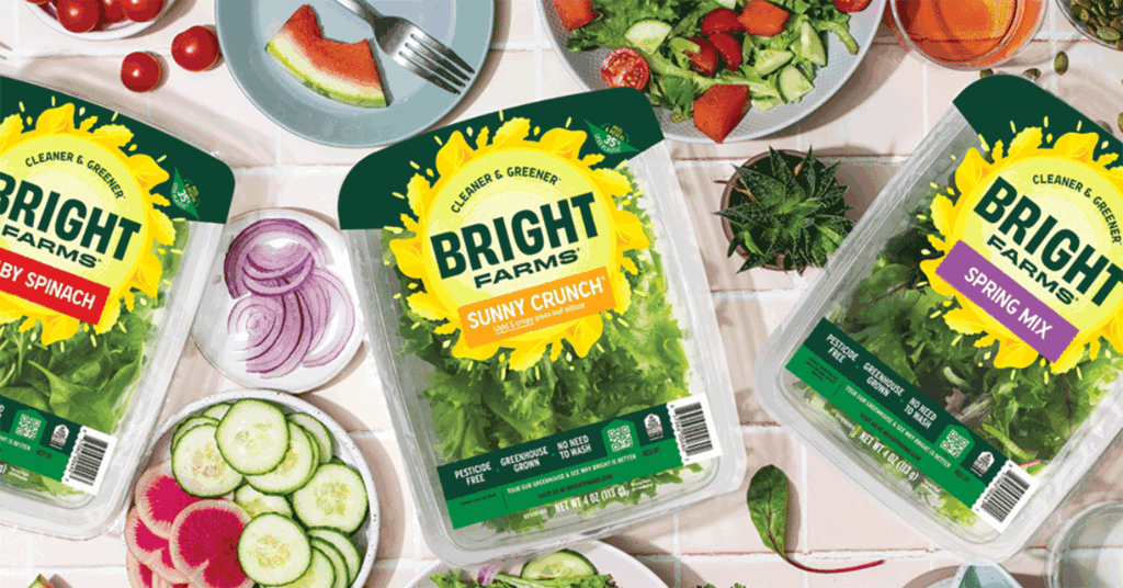 Growing media influences how plant health is managed in hydroponic production