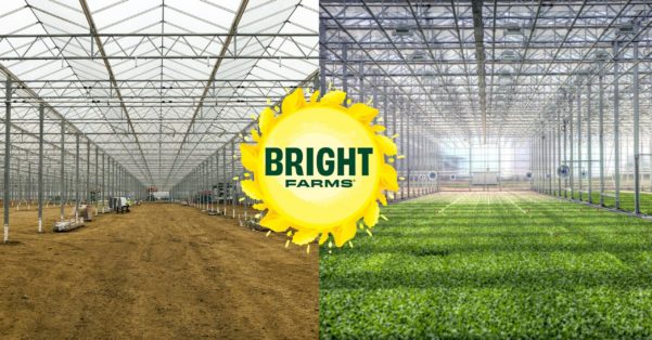 BrightFarms building regional salad greenhouse hubs