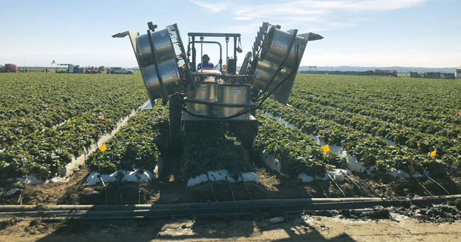 Organic Grower: California’s unique strawberry pest control method
