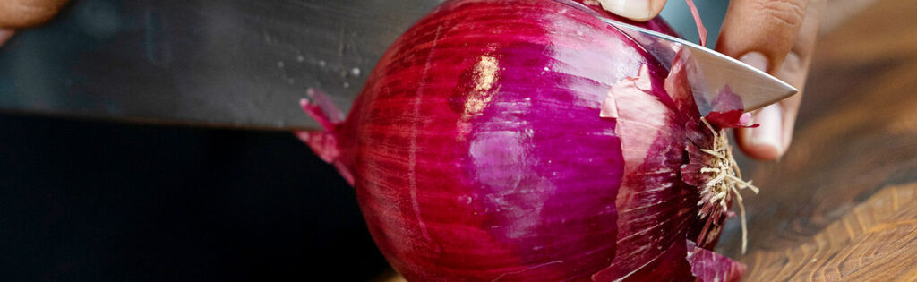 Researchers tackle salmonella in bulb onions