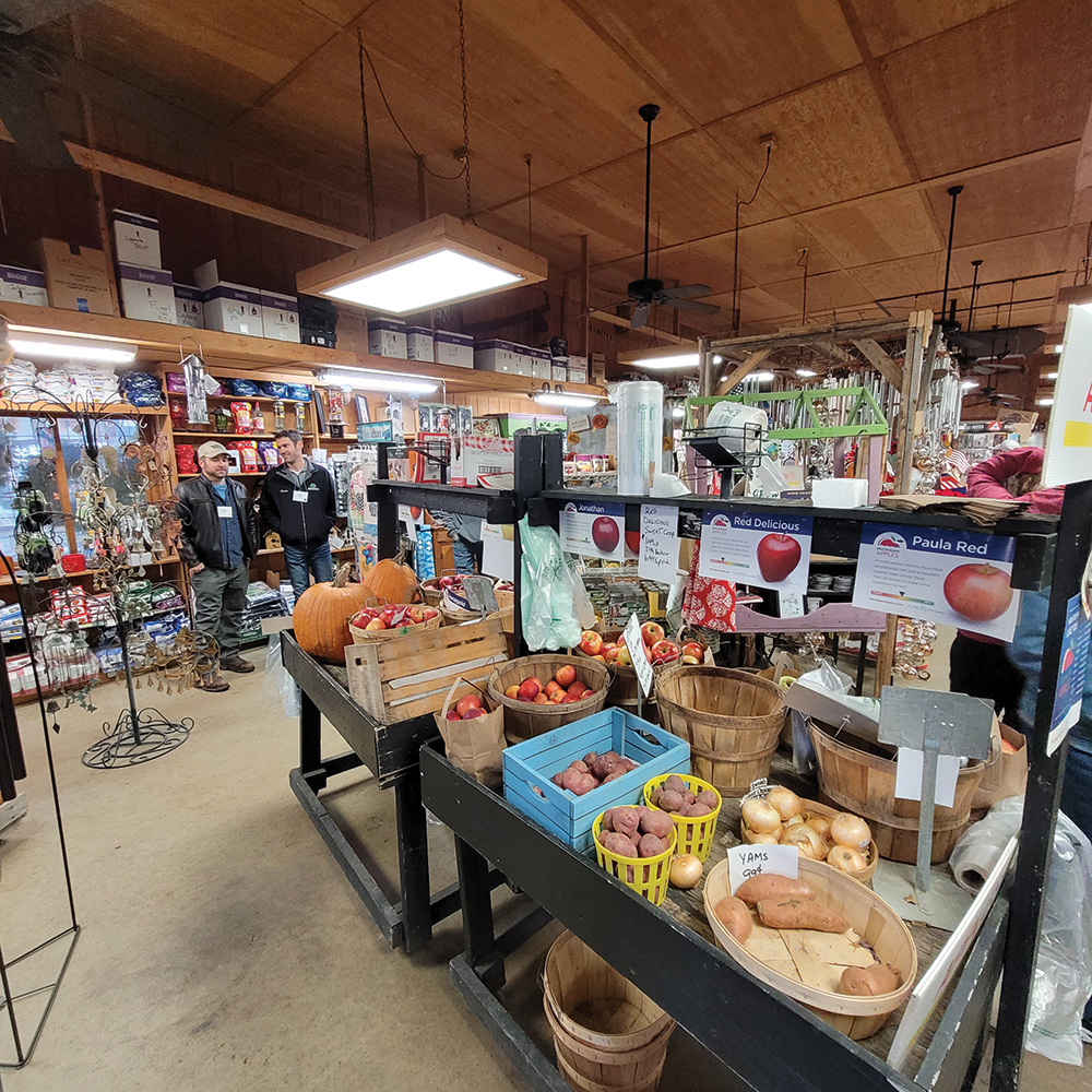 Understanding your market’s shoppers