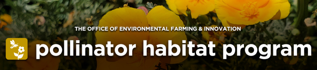 California accepting pollinator grant applications