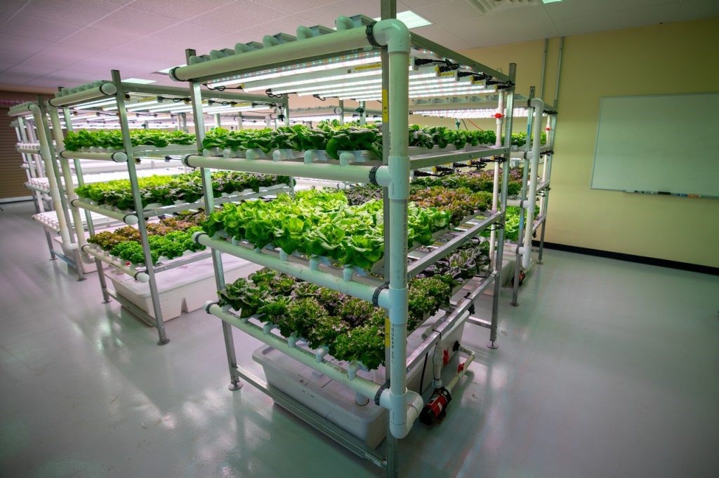 CEA Summit East features the latest in indoor, greenhouse growing