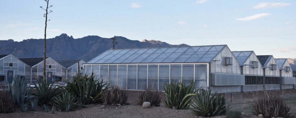 Project looks at pathogen risks, sanitation for CEA