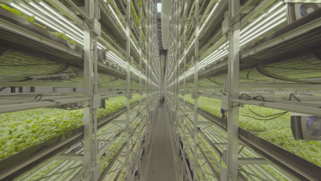 CEA Food Safety Coalition expands mission