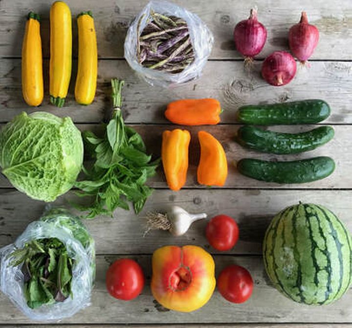 Community supported agriculture offers many benefits