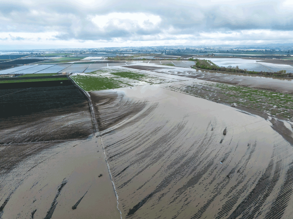 Commentary: California farmers seek solutions for flood-control failures