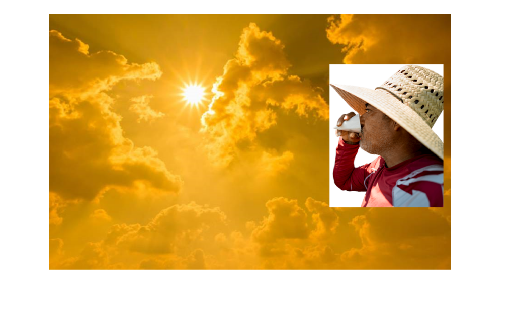 California growers work to save heat-stressed crops