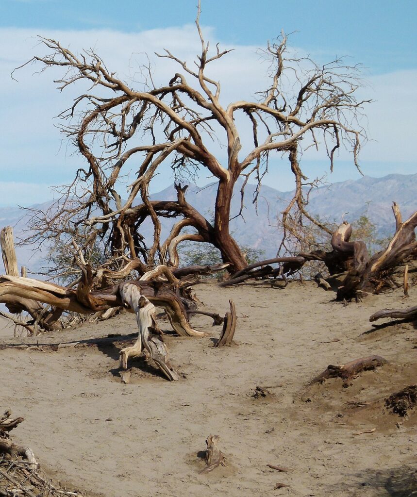 Invasive Species Action Week marked in California