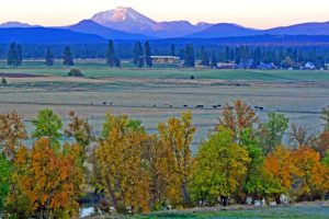 California ‘working’ land supports 1.5M jobs