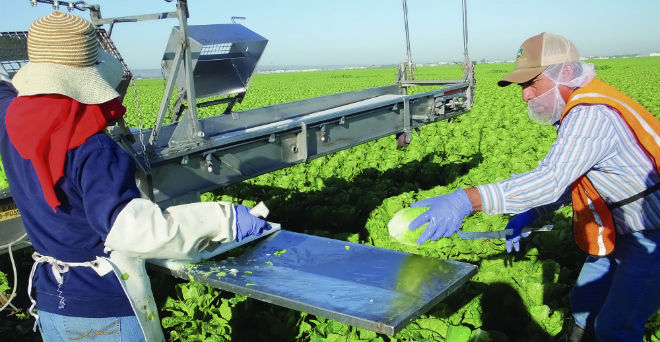 Agricultural workers’ protection addressed by California relief proposal