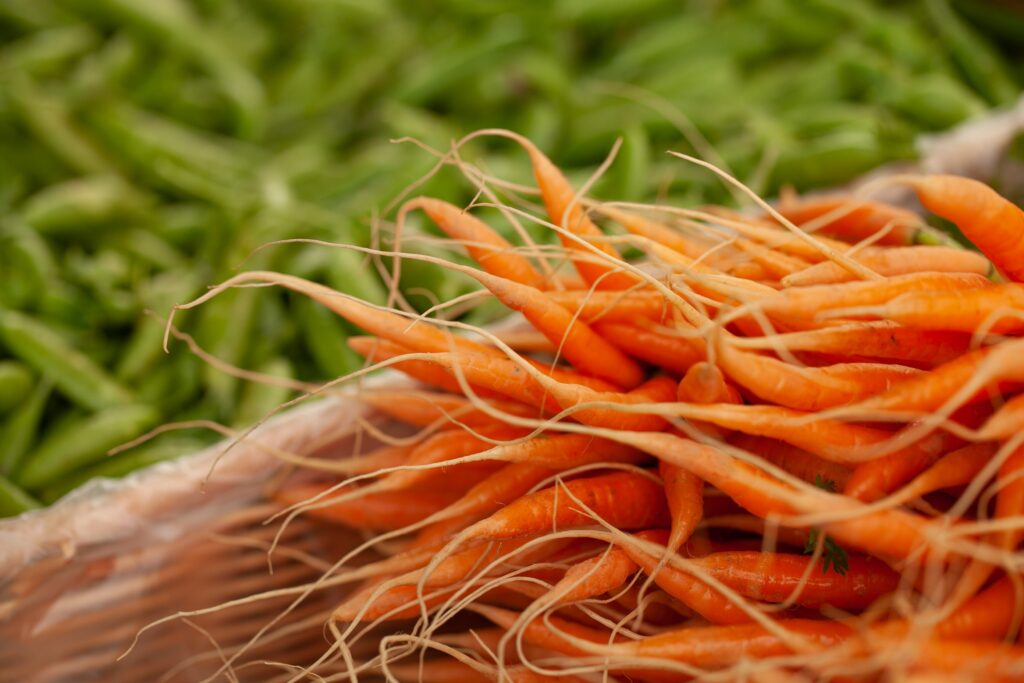 USDA-ARS working to boost nutritional bounty of carrots, onions