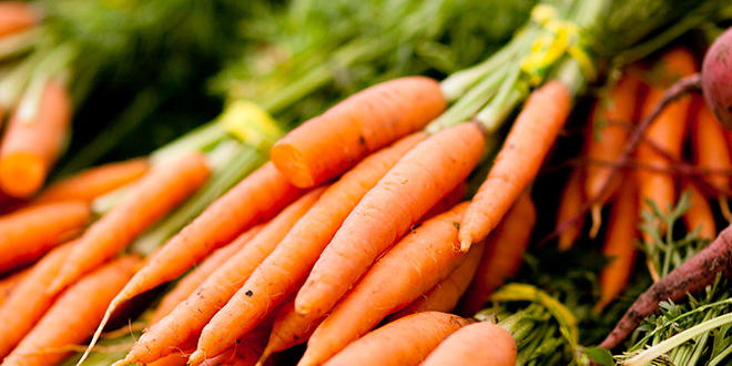 Michigan carrot growers to vote on program, rate increase