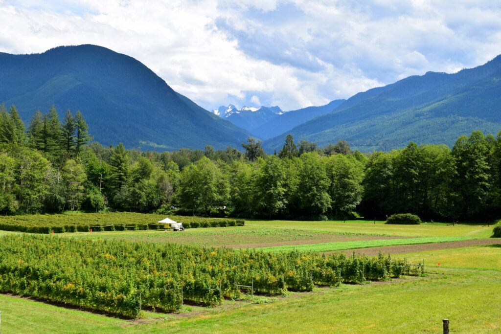 Rebuilding wildlife habitat, regenerating groundwater goals of Cascadian Farm