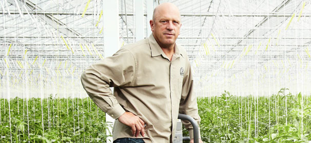 California tomato grower goes green