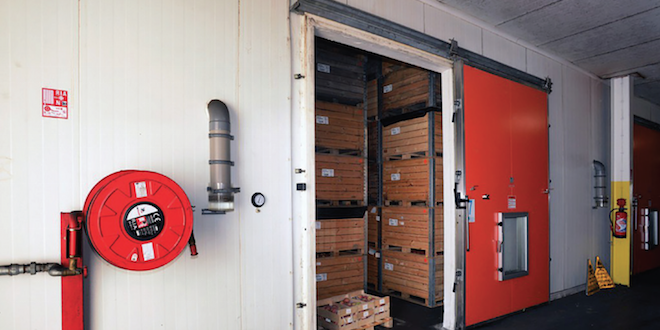 Cold storage safety tips during COVID-19