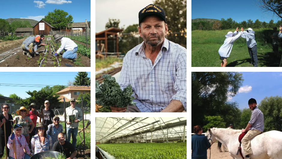 Denver-based Veterans to Farmers sets up veterans for success