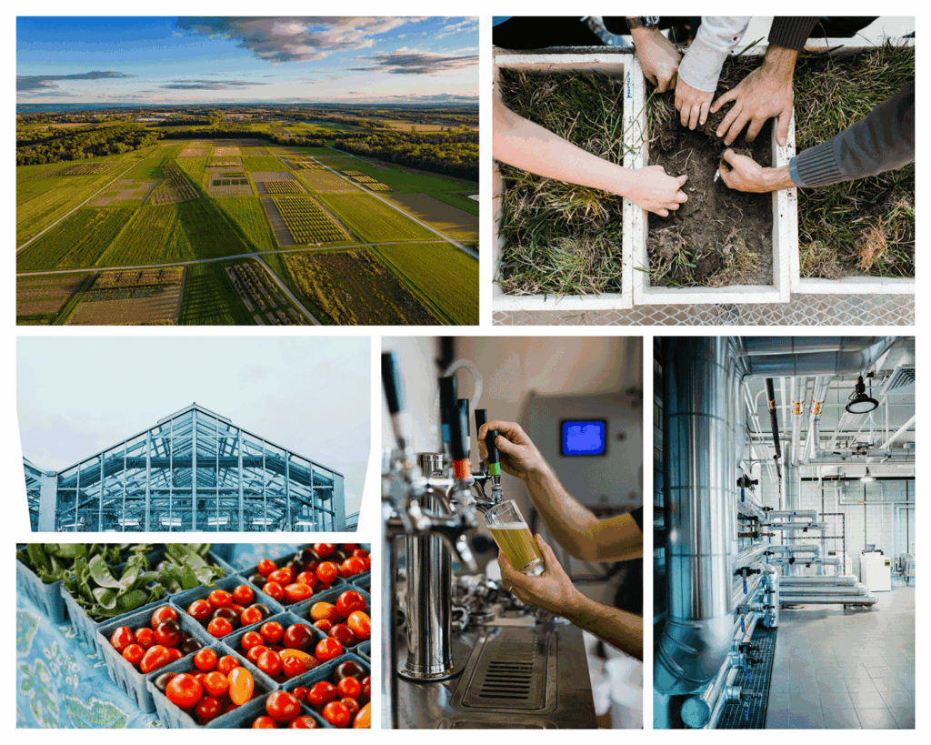 Cornell’s AgriTech research center celebrates 140th anniversary