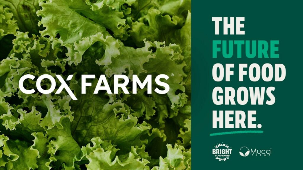Cox Farms debuts with network of 17 greenhouses