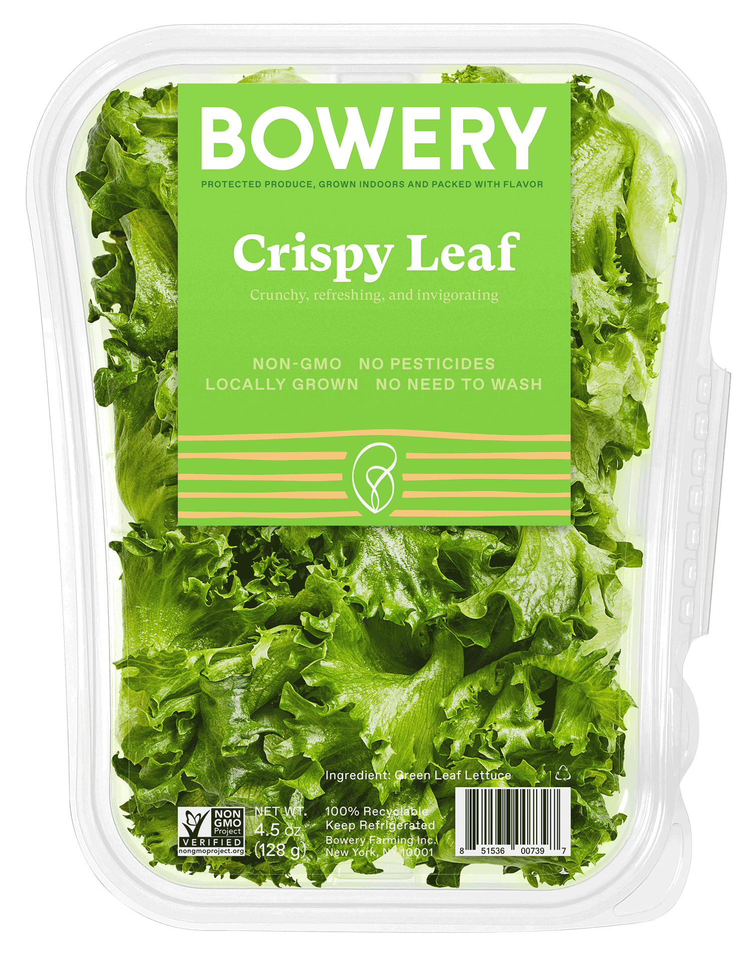 Crispy-Leaf-4.5oz-Rendering-5-2020