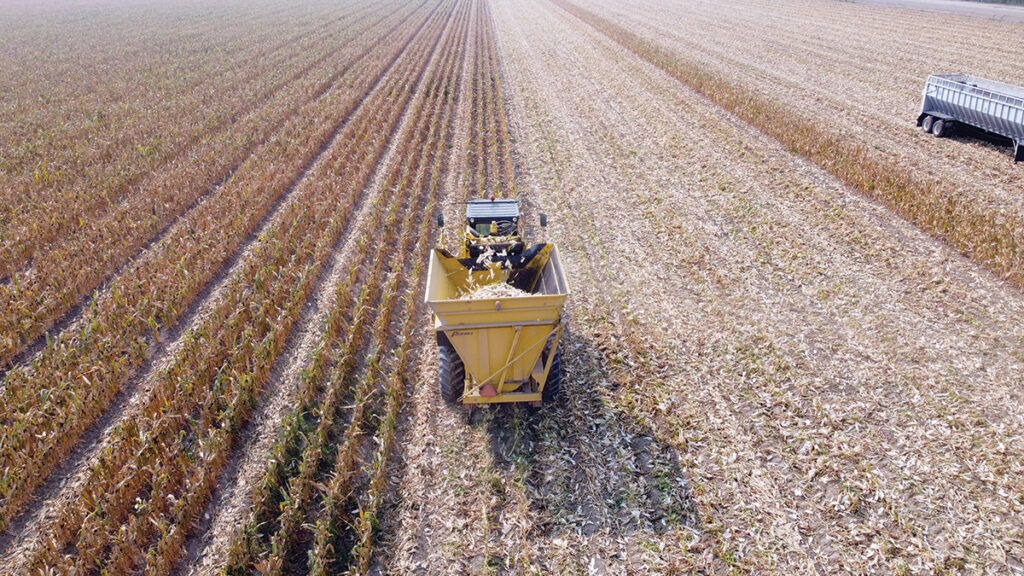 Tractor harvesting corn in a field