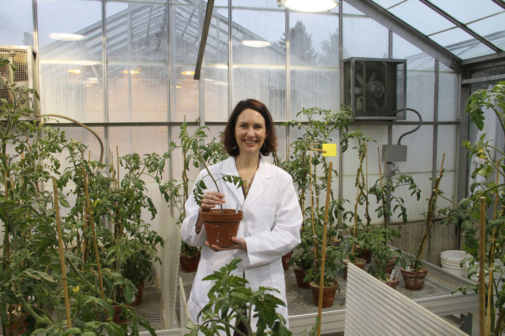 Washington State researchers take aim at parasitic worm