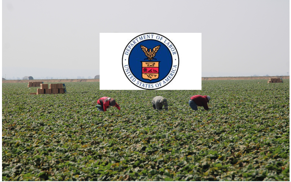 Labor Department suspends H-2A worker protection rule