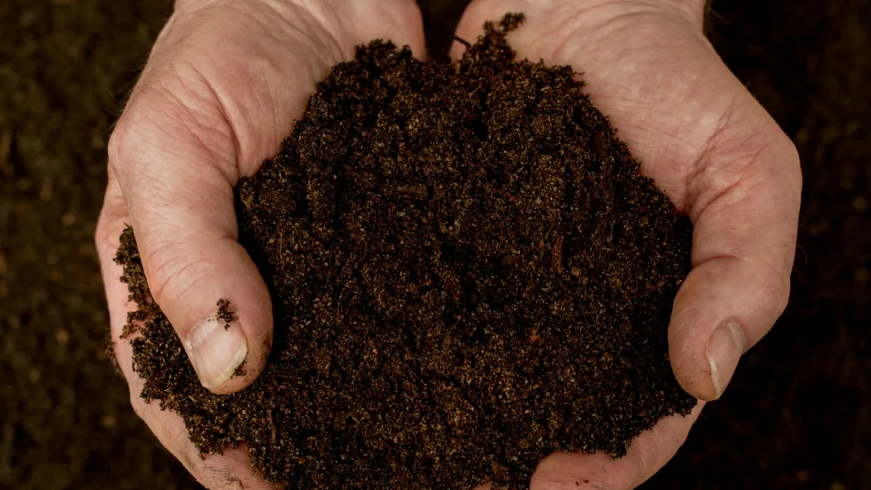 Regeneratively-produced biological solution released by DPH Biologicals