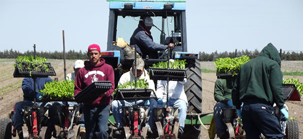 Nebraska grower wants H-2A fix