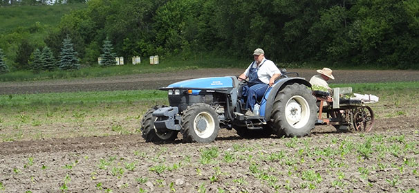Minnesota farm focuses on local sales