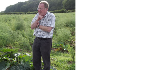 U.K. grower creates asparagus market