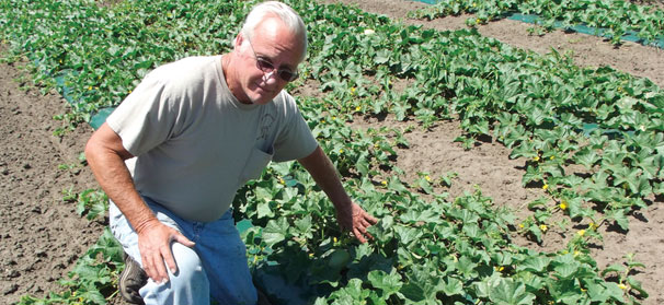 Family, persistence, Twinkies help Ohio farm survive