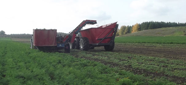 New MVC president wants to tackle labor, public relations