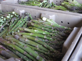 Reduce the temperature of asparagus once it’s harvested