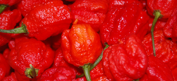 Grower promotes health benefits of hot peppers