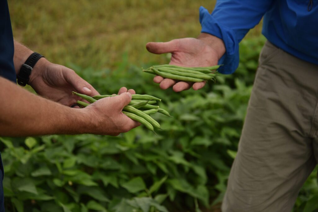 HM.CLAUSE’s commitment to high-quality bean varieties