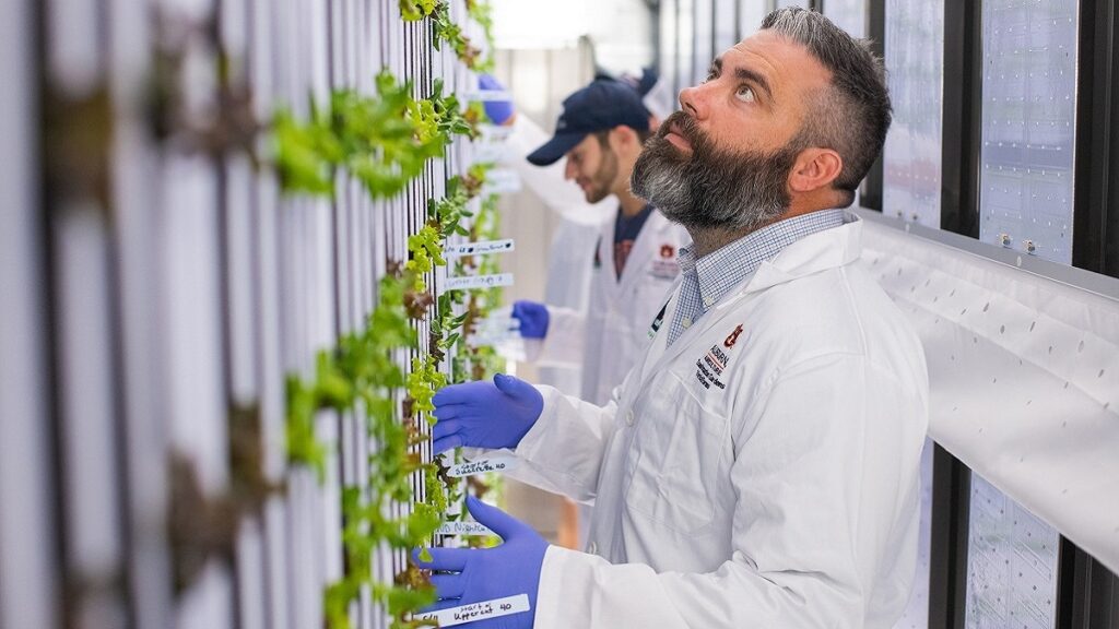 Auburn College of Ag using shipping containers to grow produce for campus